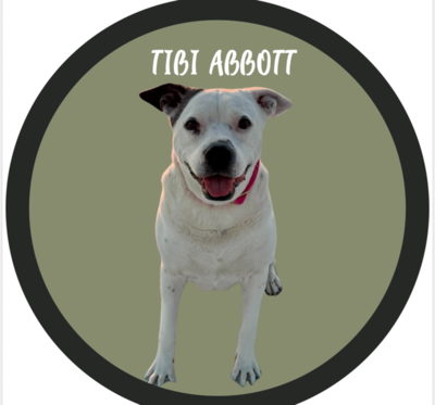 Tibi Abbott - Alaqua Alum