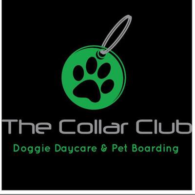 The Collar Club 