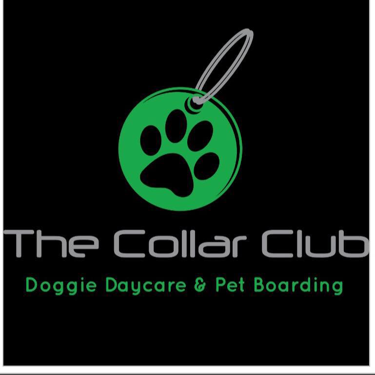 The Collar Club 