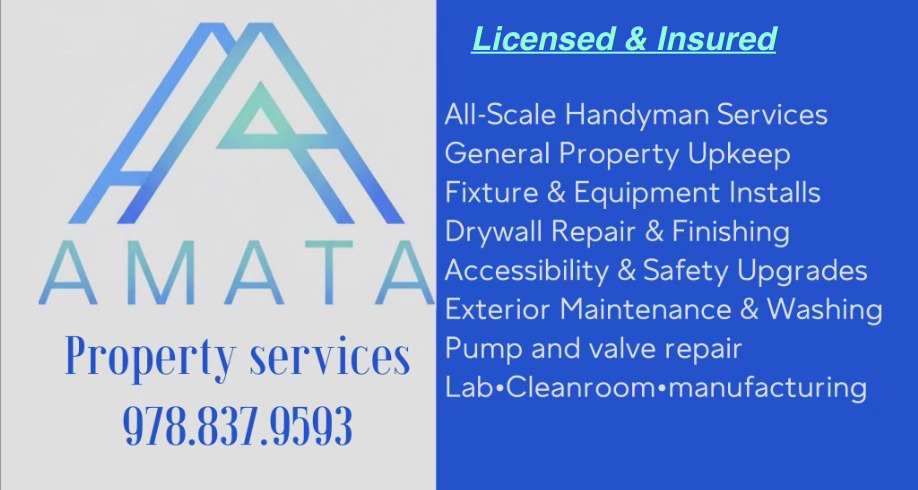Amata Property Services