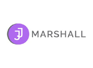 JJ Marshall and Associates Inc.
