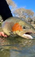 Capt. Cody LaCroix's Fly Fishing