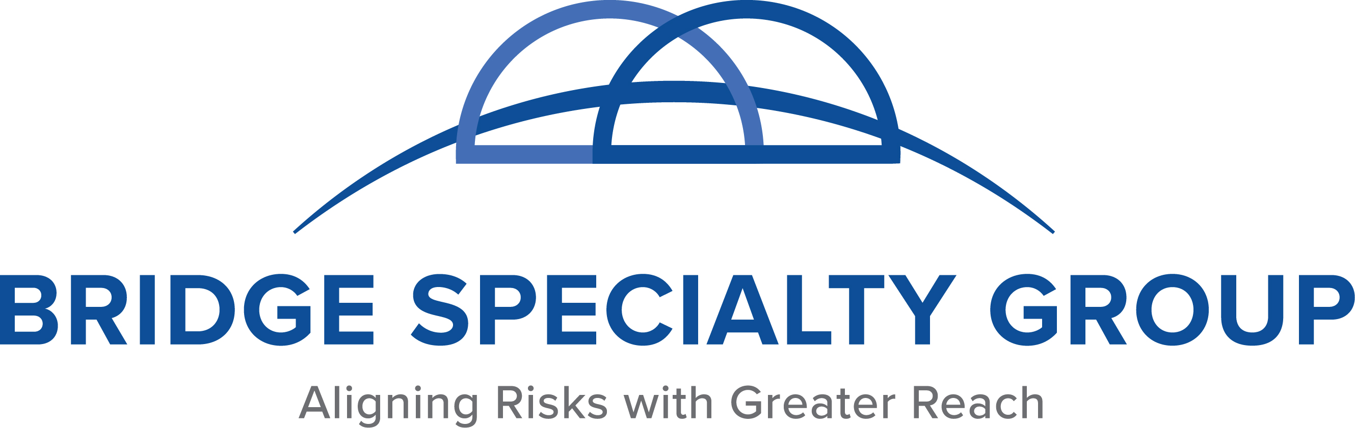 Platinum Sponsor - Bridge Specialty - Logo
