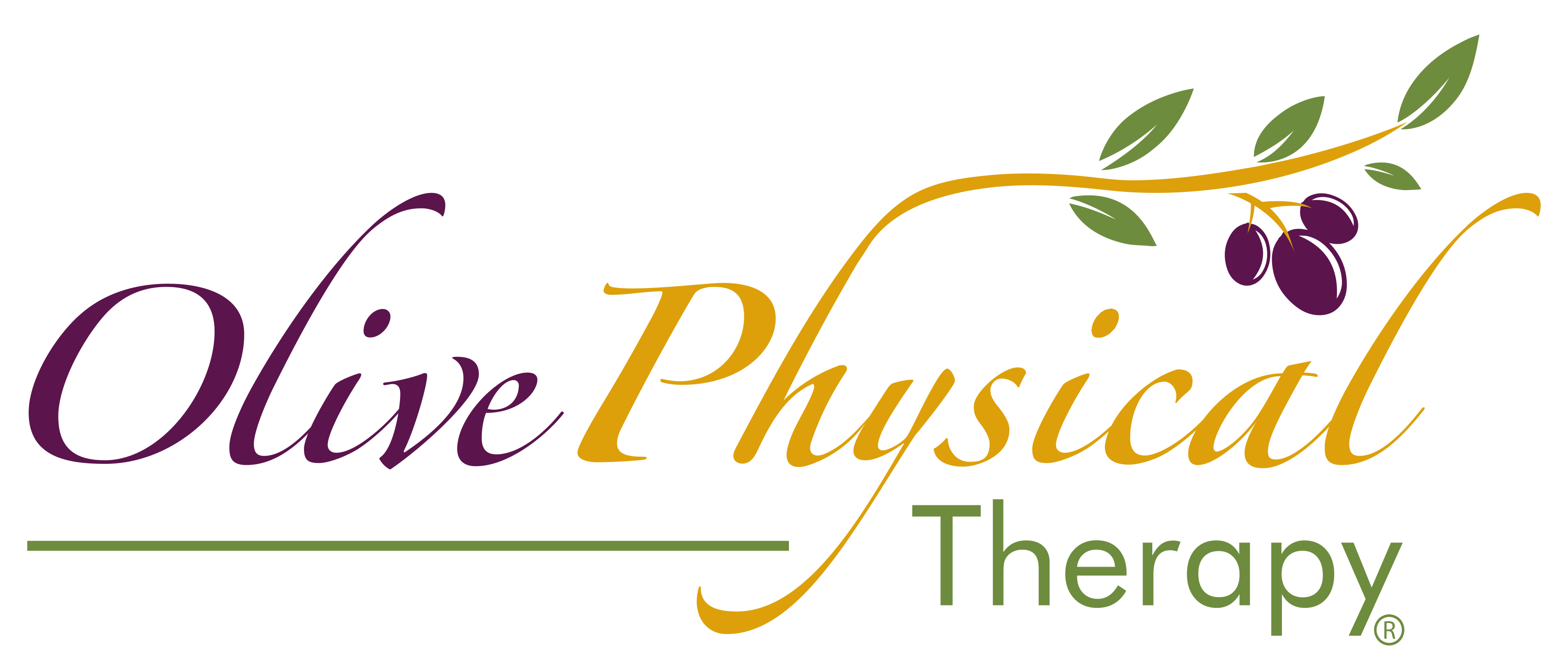 Olive Physical Therapy