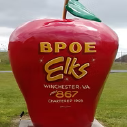 Winchester ELKS 867