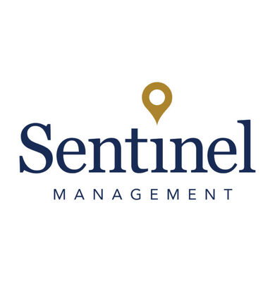 Hole in One - Sentinel Management - Logo