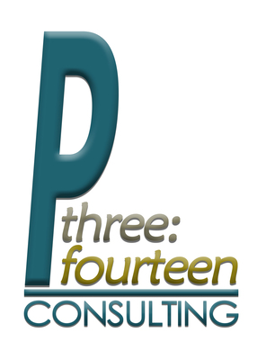 P3:14 Consulting
