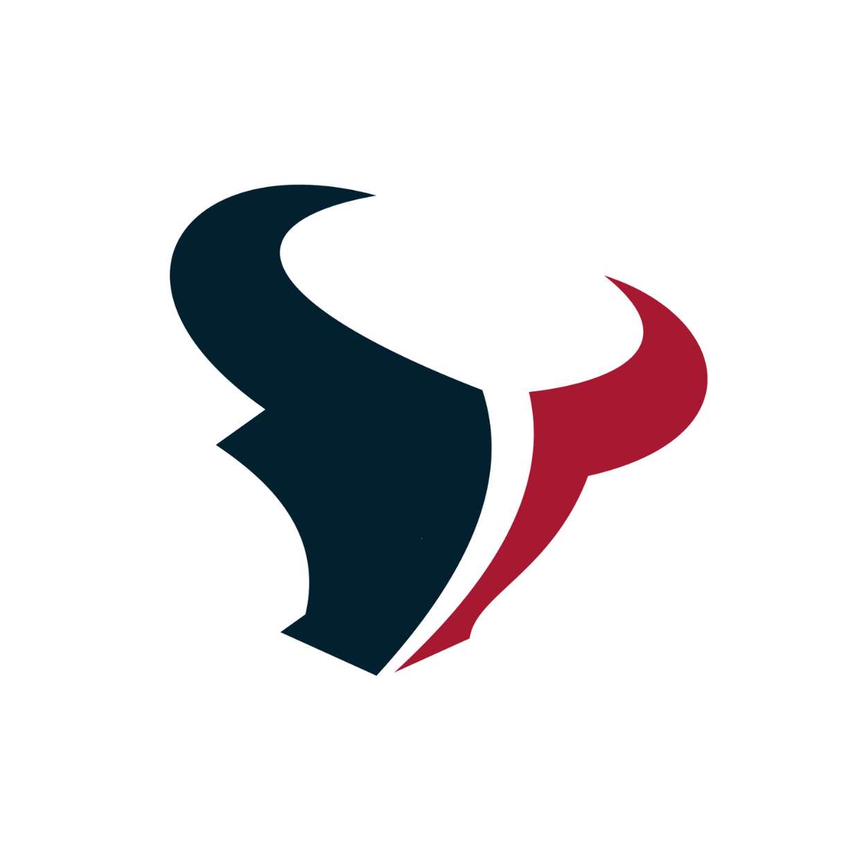 SJN Bulls Football