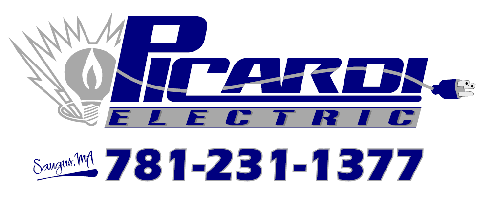 Cocktail Sponsor - Picardi Electric - Logo