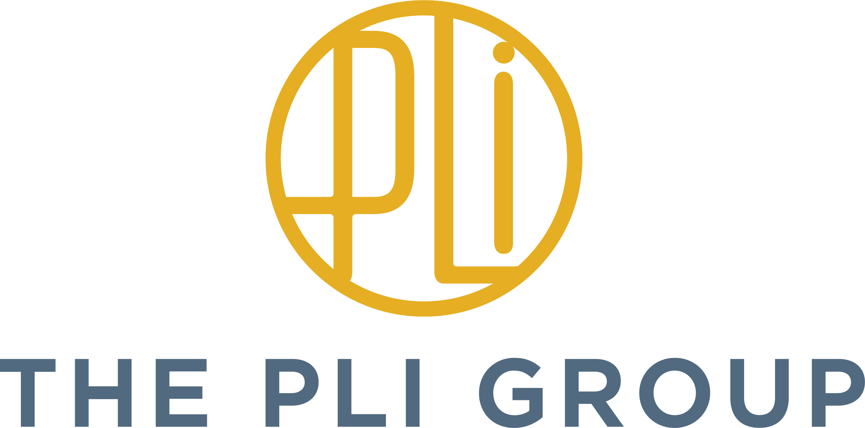 PLI Group LLC