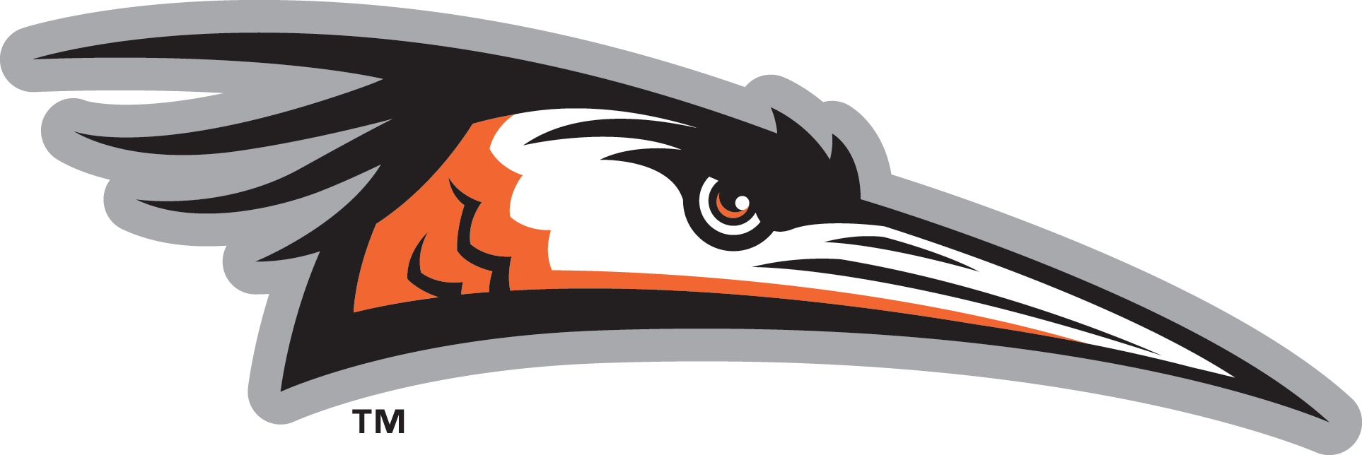 Delmarva Shorebirds