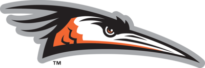 Delmarva Shorebirds