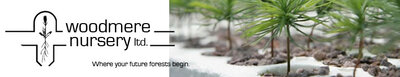 Woodmere Nursery Ltd