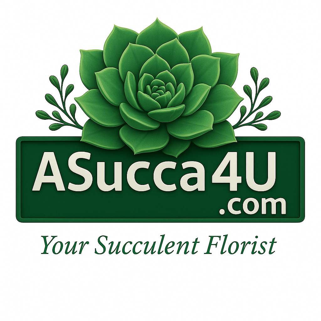 Asucca4u.com