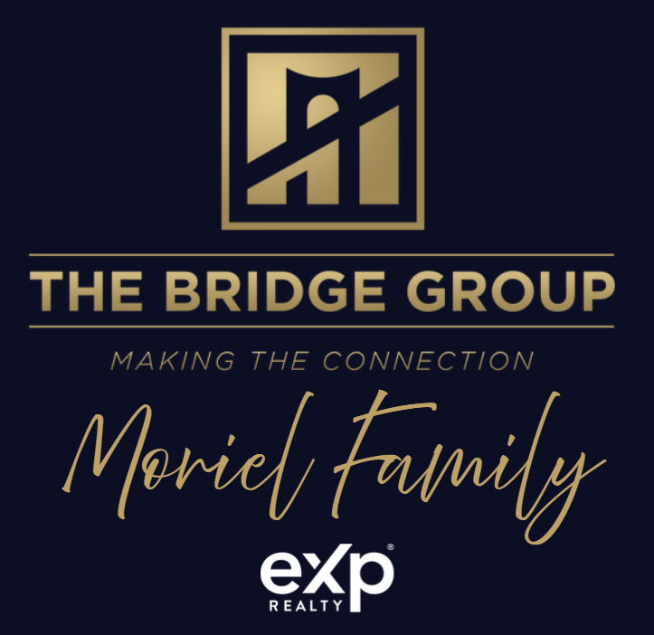 The Bridge Group