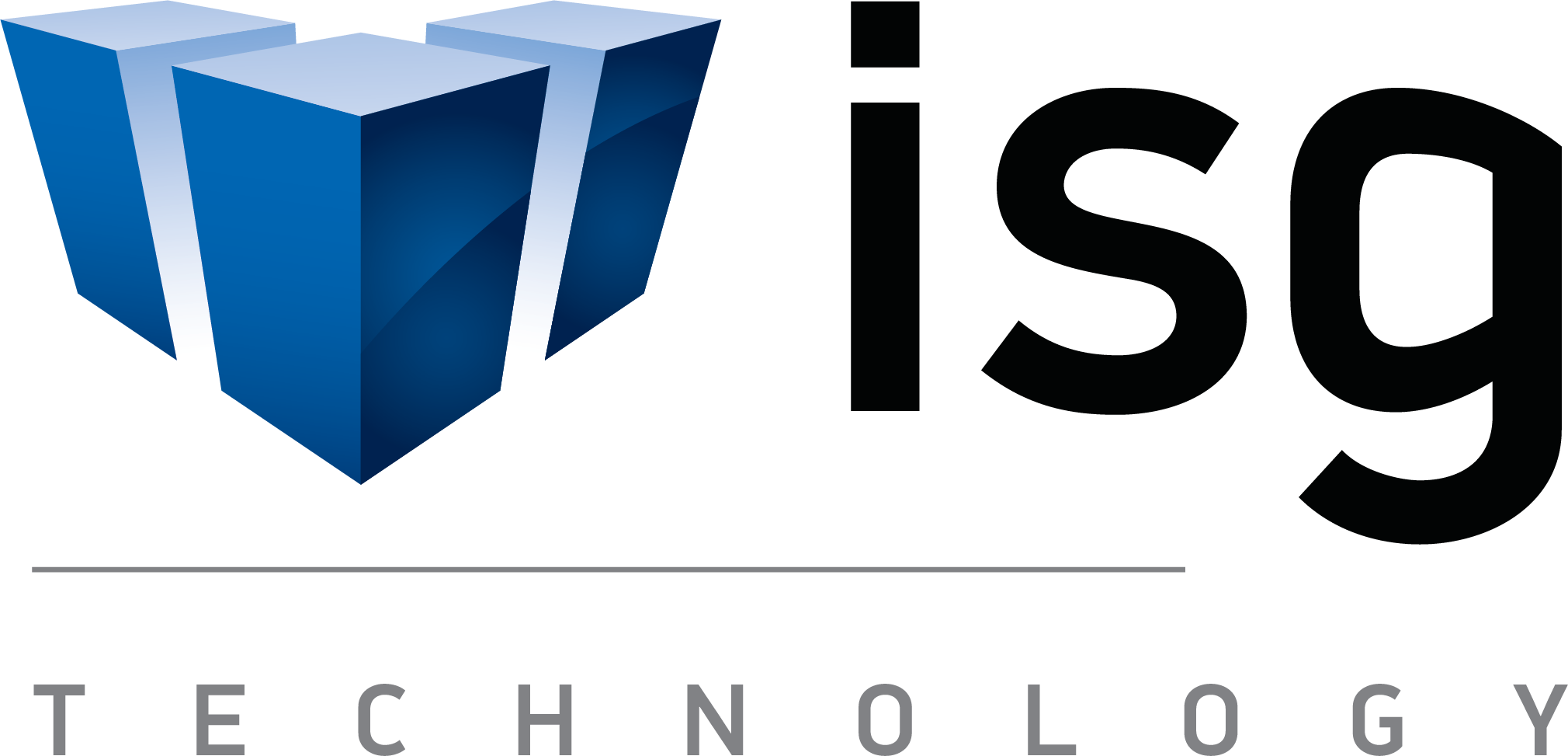 Birdie - ISG Technology - Logo