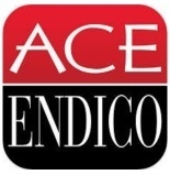 Silver Partners - Ace Endico - Logo