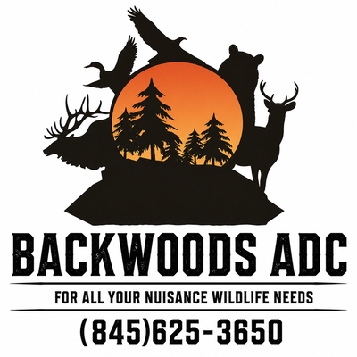 Backwoods ADC