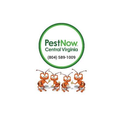 PestNow