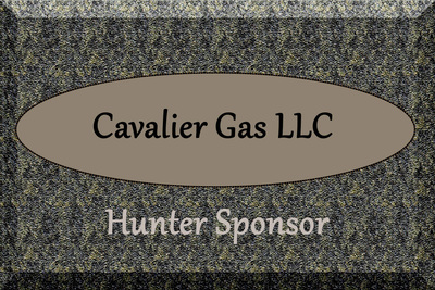 Cavalier Gas