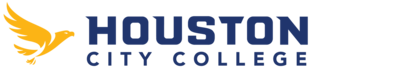 Houston City College