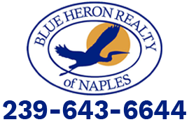 Blue Heron Reality