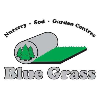 Blue Grass Red Deer