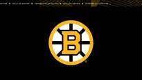 Boston Bs