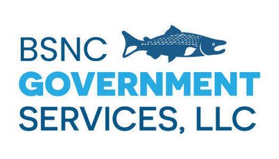 BSNC Government Services