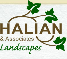 Halian Landscapes