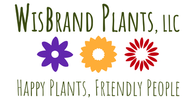 WisBrand Plants