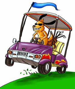Fountain Hills Golf Carts