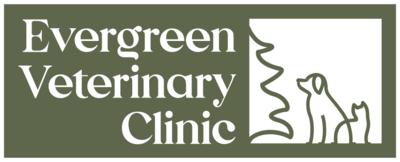 Evergreen Veterinary Clinic