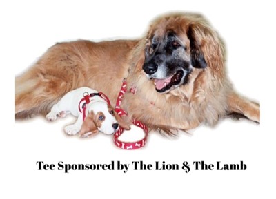 The Lion & The Lamb
