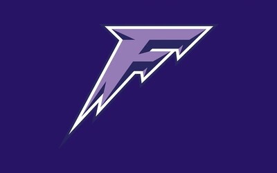 Silent Auction - MN Frost - Logo