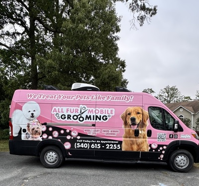 All Fur Pet Grooming 