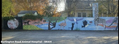 Burlington Rd Animal Hospital