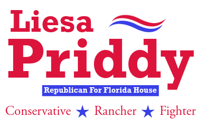 Liesa Priddy for State Rep