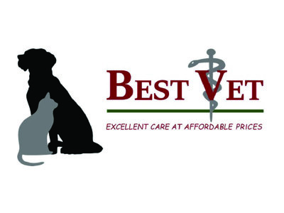 Best Vet