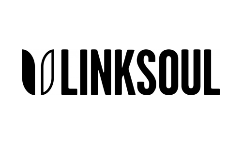 LinkSoul