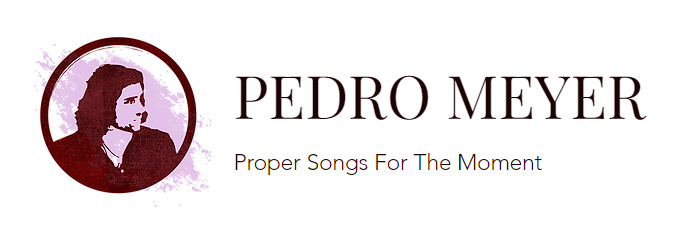 Pedro Meyer- Musician
