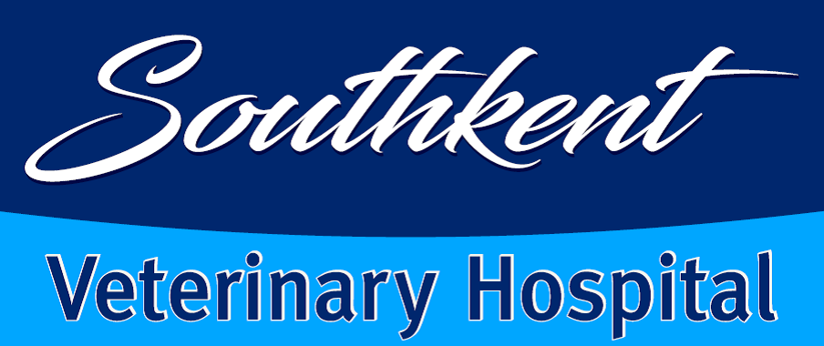SouthKent Veterinary Hospital