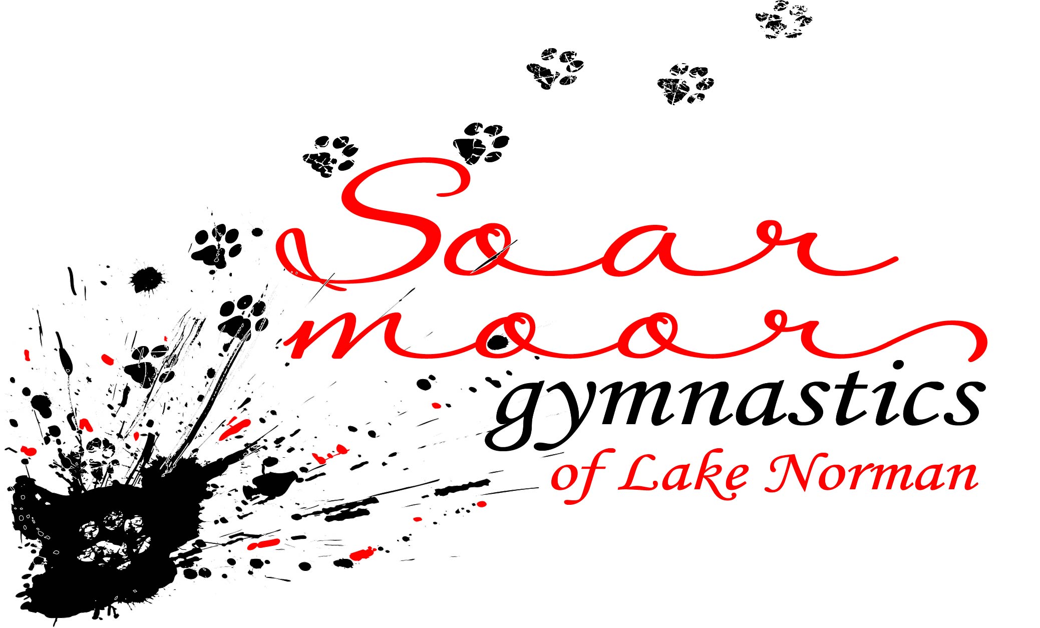 Bronze Level Sponsor - Soar Moor Gymnastics of Lake Norman - Logo