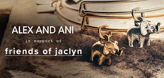 ALEX AND ANI