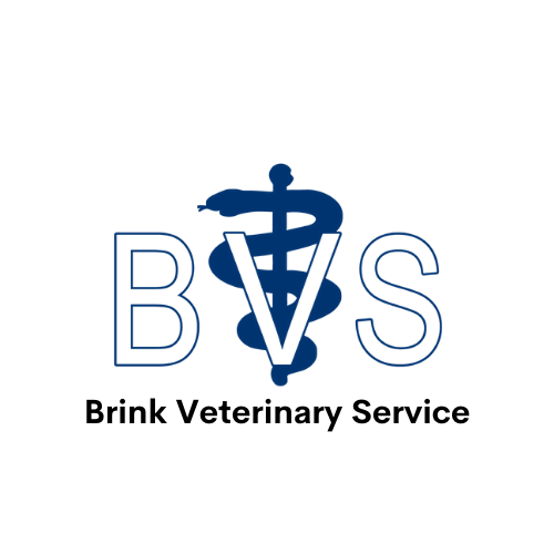 Hole Sponsor - Brink Veterinary Service - Logo