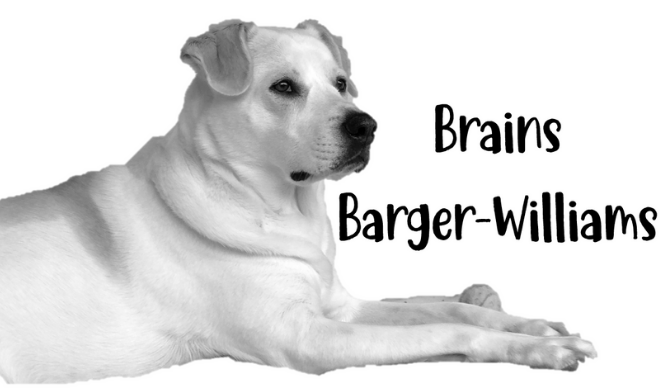 Brains Barger-Williams