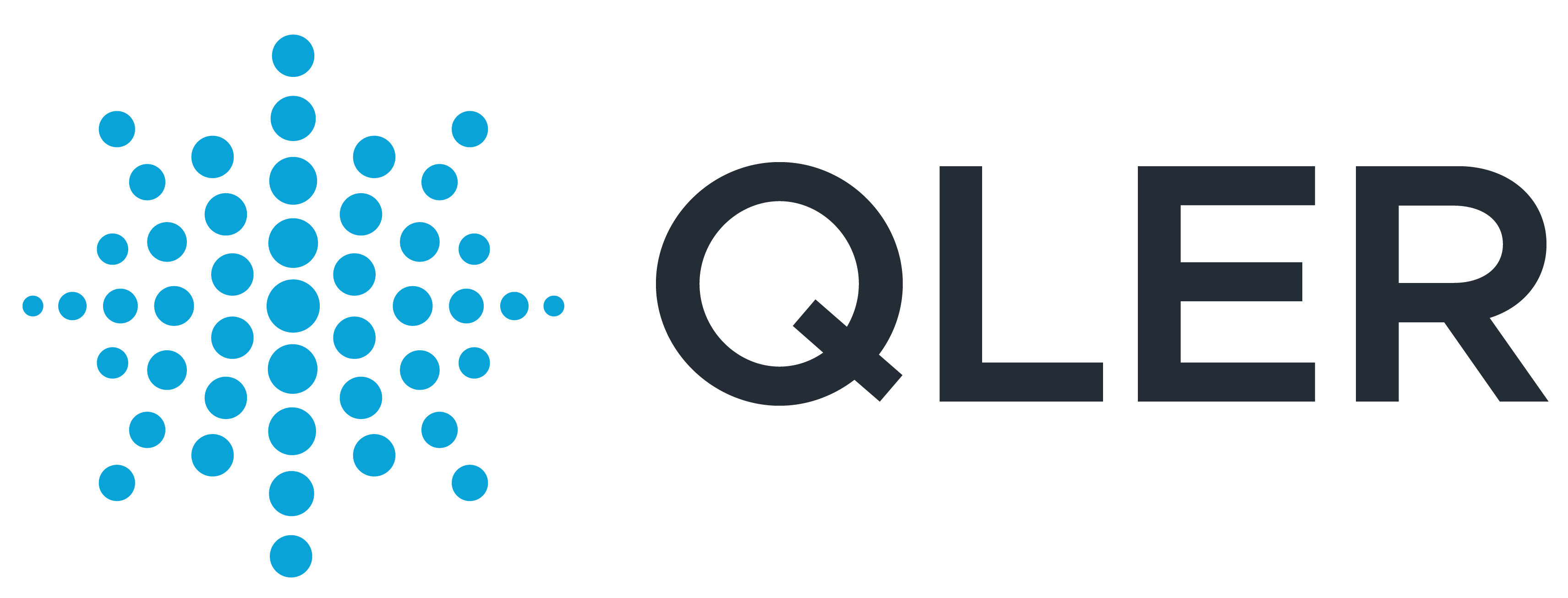 QLER Solutions