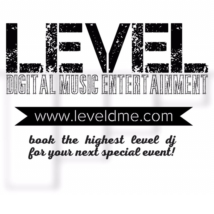 Hole Sponsor - LEVEL Digital Music Entertainment - Logo