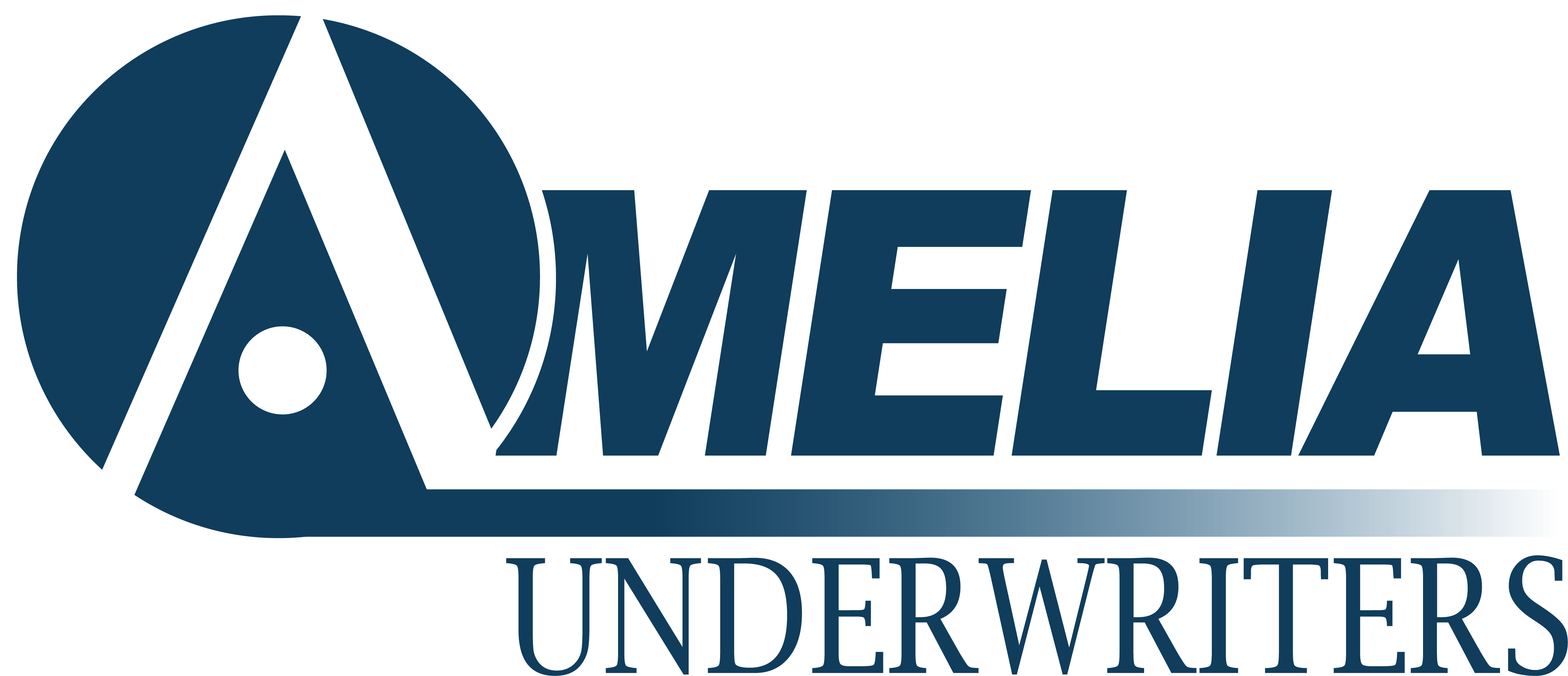 Amelia Underwriters