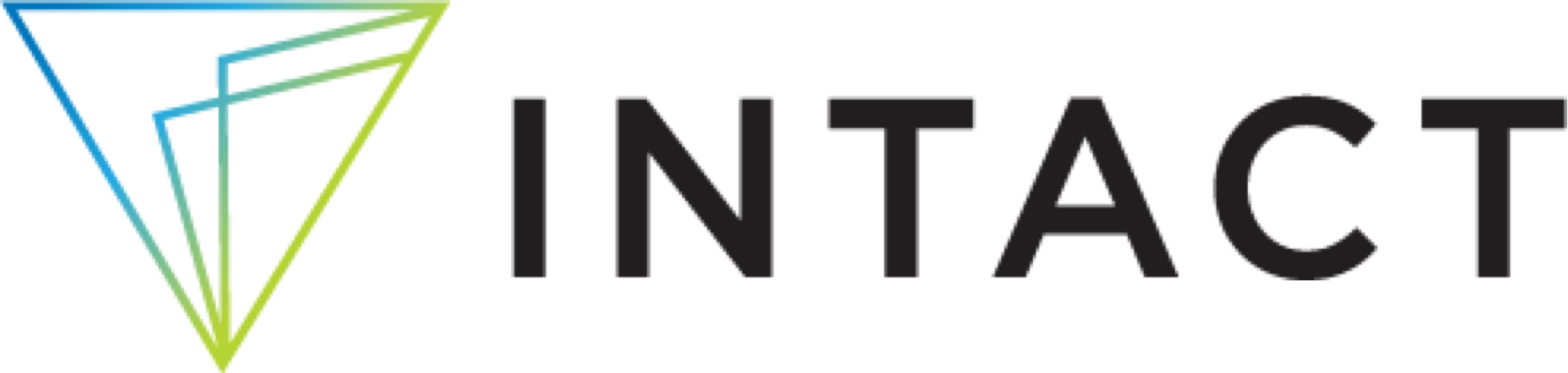 Platinum Sponsor - Intact - Logo